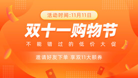 双十一购物节