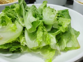 生菜叶子