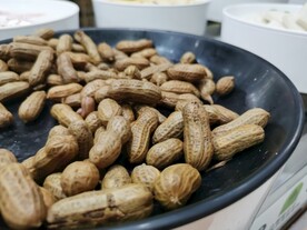 卤花生节