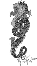 龙 