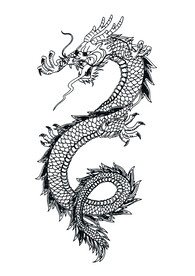 龙