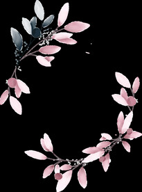 粉色花型叶子植物