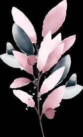 粉色花型叶子植物