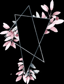 粉色花型叶子植物