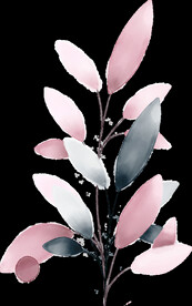 粉色花型叶子植物