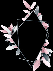 粉色花型叶子植物