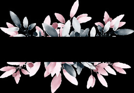 粉色花型叶子植物