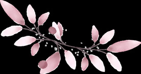 粉色花型叶子植物