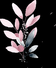 粉色花型叶子植物