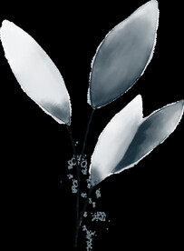 粉色花型叶子植物