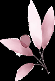 粉色花型叶子植物