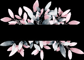 粉色花型叶子植物