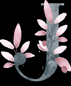 粉色花型叶子植物字母J