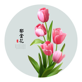 郁金花矢量