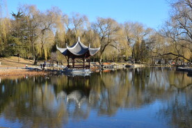 公园风景  