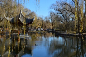公园风景 