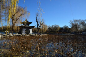 公园风景