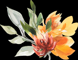 橘黄色阳光花卉贺卡婚礼装饰图案