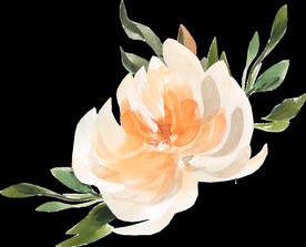 橘黄色阳光花卉贺卡婚礼装饰图案