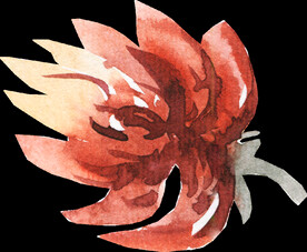 橘黄色阳光花卉贺卡婚礼装饰图案