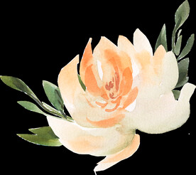 橘黄色阳光花卉贺卡婚礼装饰图案