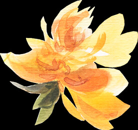 橘黄色阳光花卉贺卡婚礼装饰图案