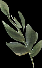 橘黄色阳光花卉贺卡婚礼装饰图案