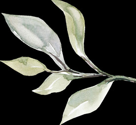 橘黄色阳光花卉贺卡婚礼装饰图案