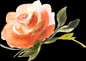 橘黄色阳光花卉贺卡婚礼装饰图案