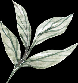 橘黄色阳光花卉贺卡婚礼装饰图案