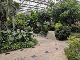 农业科技馆绿植道路