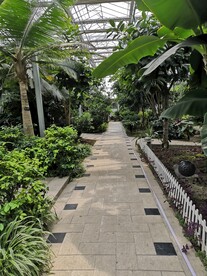 农业科技馆绿荫小路绿植