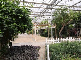农业科技馆绿植玻璃房