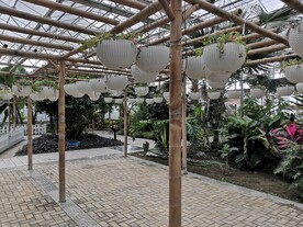 农业科技馆竹架无土栽培花卉盆栽