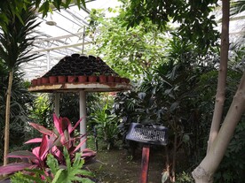 农业科技馆伞状栽培无土栽培