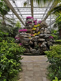 农业科技馆假山花卉