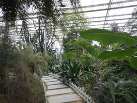 农业科技馆绿植小路