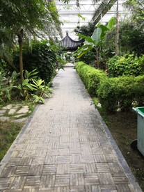 绿植小路复古建筑亭子