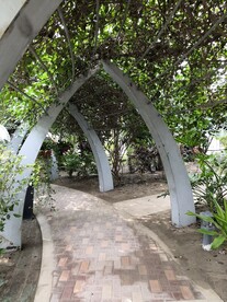 拱形门绿植藤蔓长廊