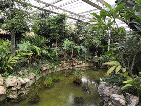 农业科技馆绿植水池小溪