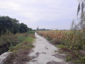 农村农业玉米地道路种植业