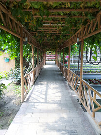 竹架绿植长廊