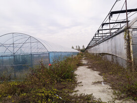 农业现代化大棚蔬菜种植