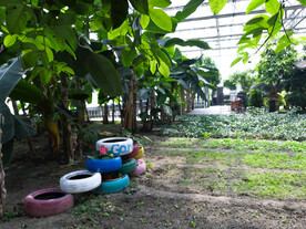 农业科技馆菜园彩色创意轮胎