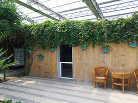 农业科技馆竹制墙壁绿藤