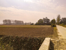 农村乡间道路农业土地
