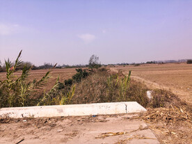 农村农业土地田地