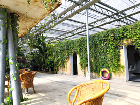 农业科技馆绿藤墙