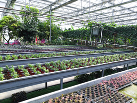 城市花园菜园农业科技馆现代化农