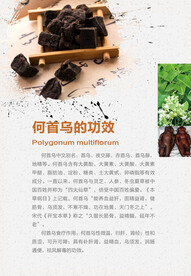 何首乌的功效